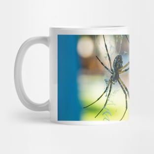 Argiope aurantia Mug